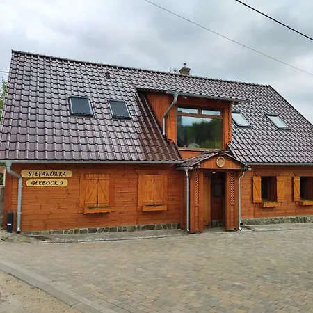 Stefanowka Apartment